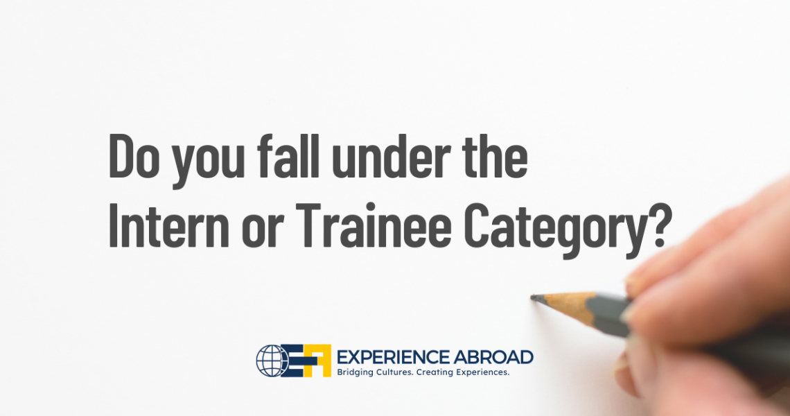 Do you fall under the Intern or Trainee Category?