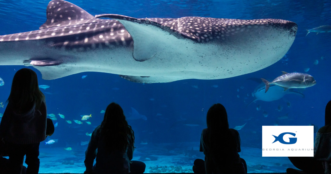 Georgia Aquarium - 5 Must-Visit Places in Atlanta, Georgia